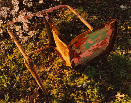 Chair and Plum Blossoms