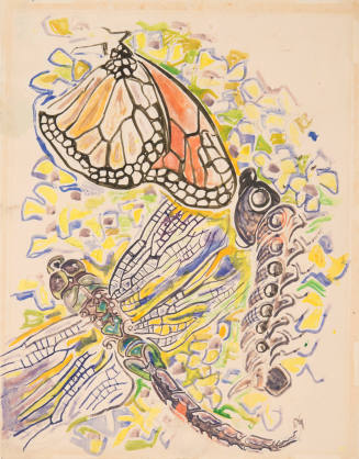 Monarch Butterfly and Dragonfly