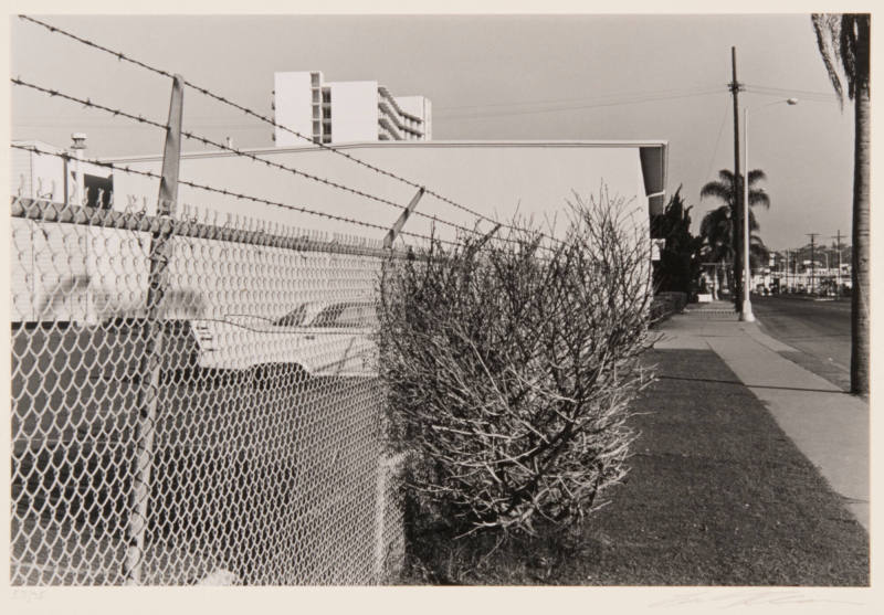 Car & Fence & Bush--San Diego, California 1970