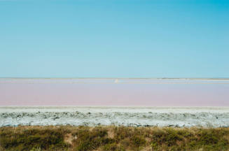 Carmargue Pink Salt Flat, Arles, France