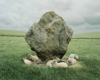 Sheep and Standing Stone, Arebury, England