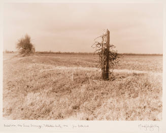 Barbed Wire, near Sumner, Tallahatchie County, 1996
